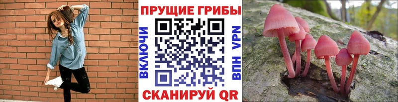 Галлюциногенные грибы мицелий  Черняховск 