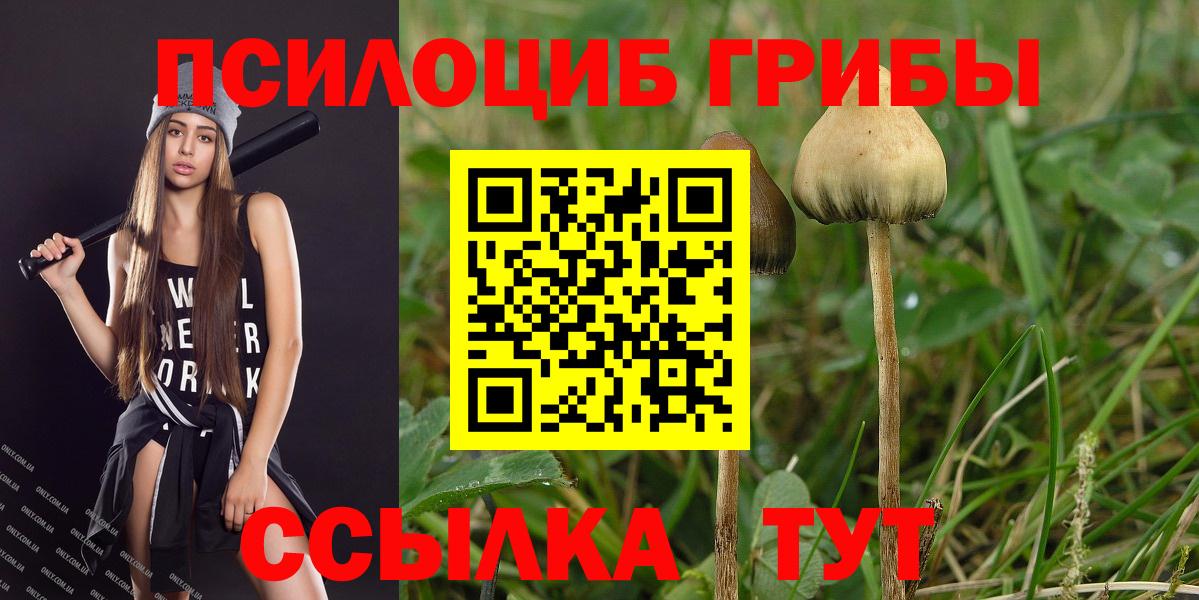 Псилоцибиновые грибы ЛСД  Псилоцибиновые грибы Psilocybe  Вход с VPN  Черняховск 