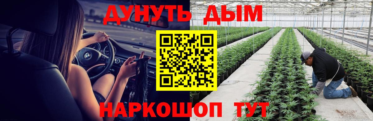 МАРИХУАНА конопля Черняховск
